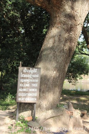 The Killing Tree at Choeung Ek killing field