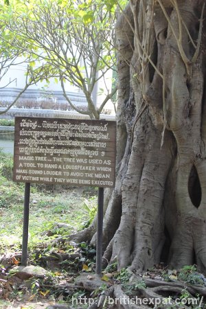 The "Magic Tree" at Choeung Ek killing field