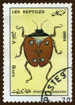 Stamp from Afghan "Reptiles" series, but featuring a beetle