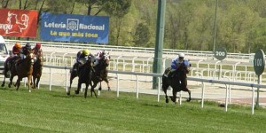 Racehorses galloping for the finishing line