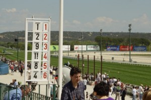 Madrid's Zarzuela racecourse on race day between races