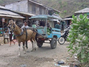 Horse and cart by Maluk market on the Indonesian island of Sumbawa