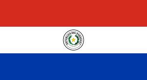 Obverse side of the flag of Paraguay, with the country's coat of arms